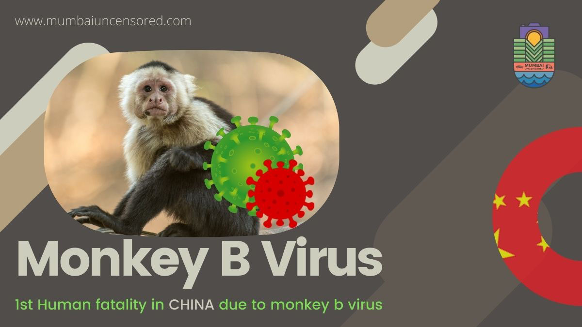 Monkey B Virus1 jpeg