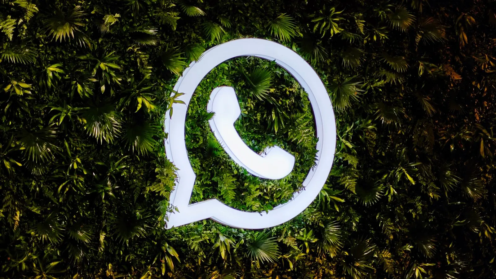 whatsapp logo express photo